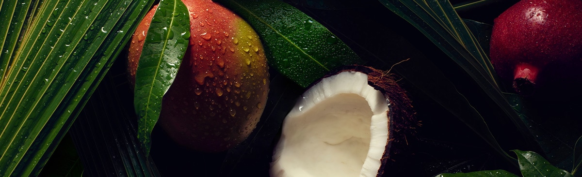 View our ingredient glossary