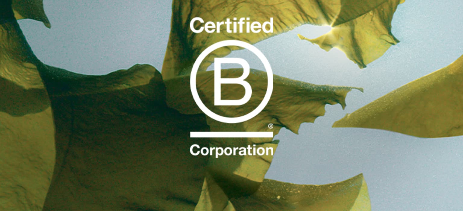 Aveda is certified by B Corporation