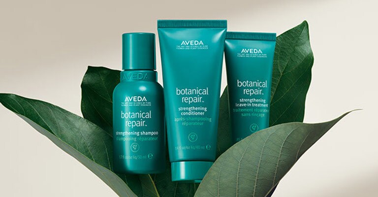 Learn about botanical repair discovery set