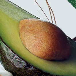 avocado oil