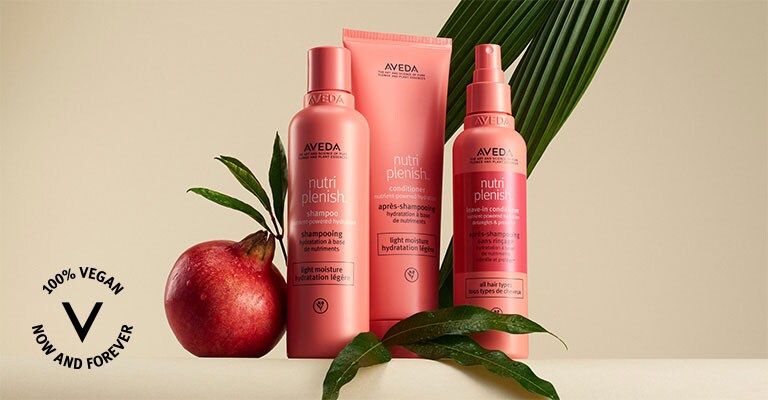 nutriplenish light moisture hair care